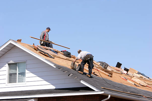 Reliable New Sharon, IA Roofing services Solutions